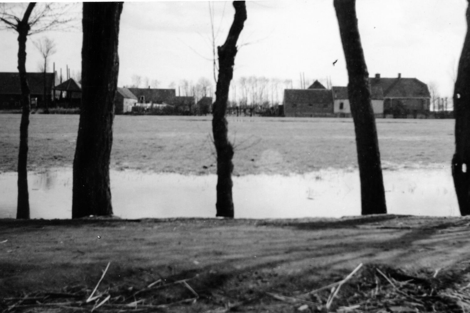 Op de voorgrond een dijk met vijf boomstammen. Daarachter staan weilanden onder water. Op de achter grond staan enkele boerderijen