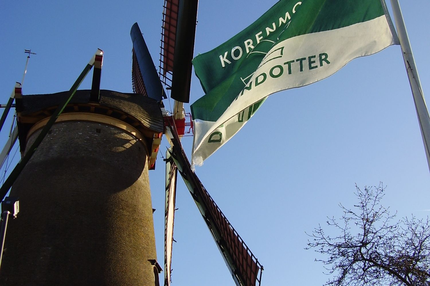 Molen met groen-witte vlag van De Windotter