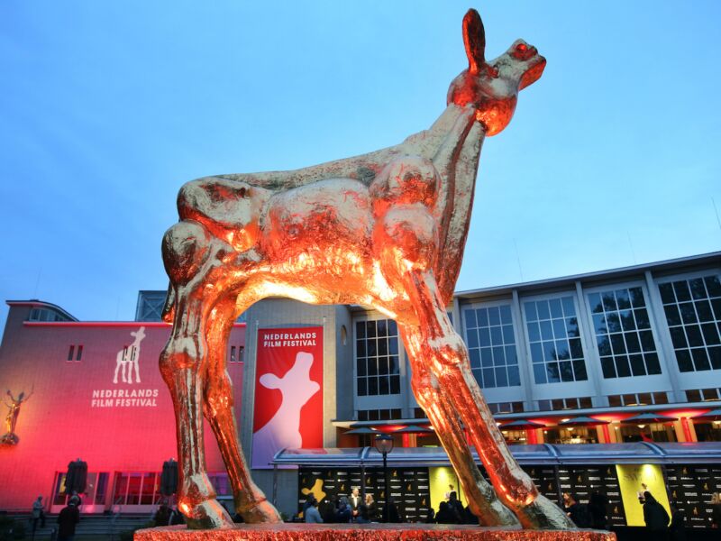 Nederlands Film Festival