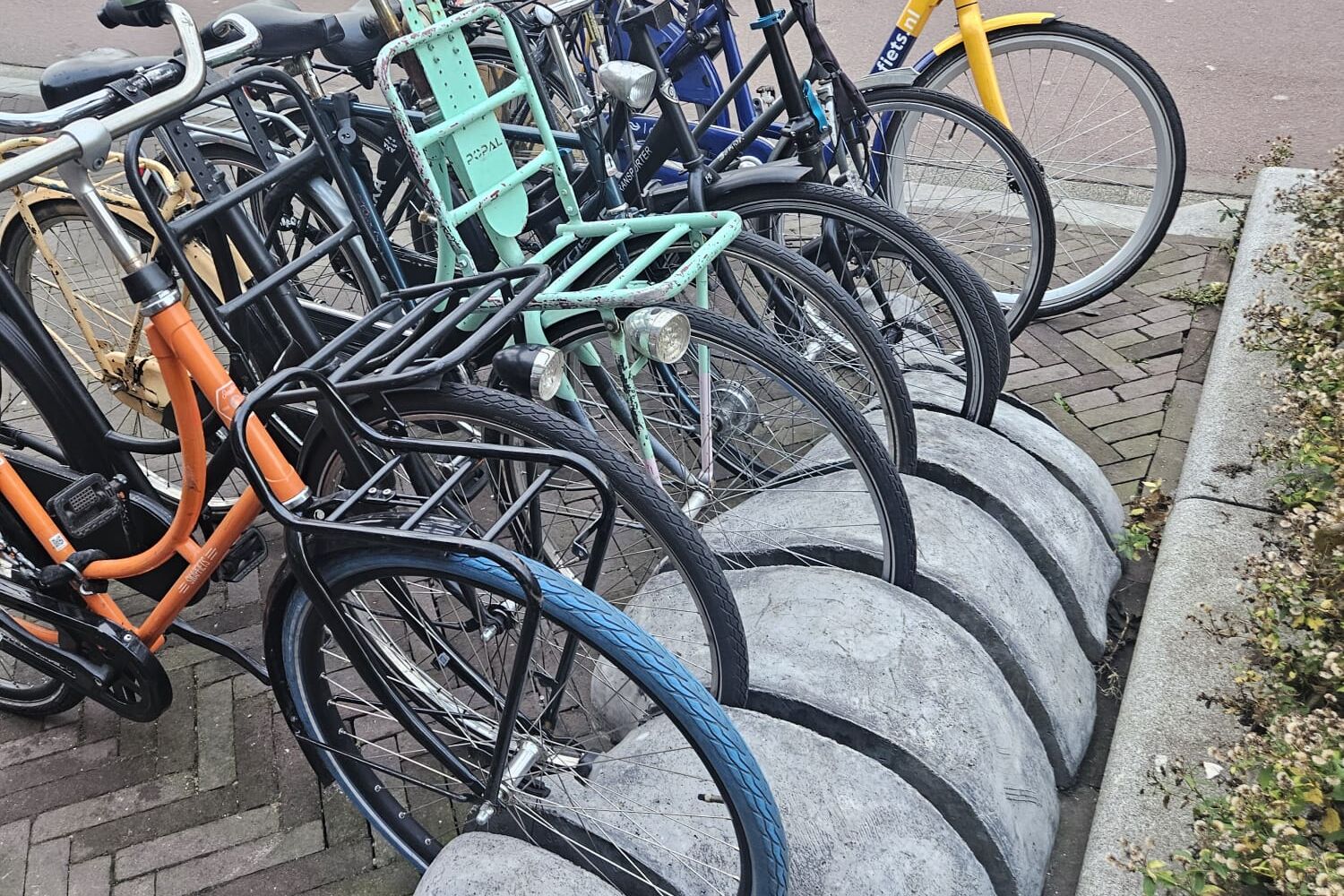 CP Dit herdenken wij