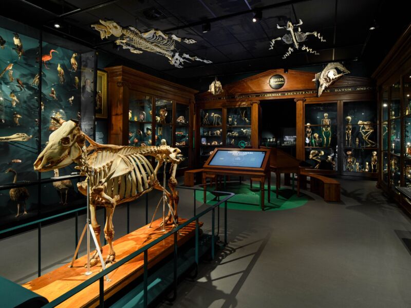 Universiteitsmuseum Utrecht